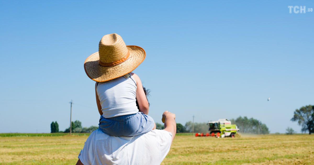 Фундамент успешной экономики. Что делать, чтобы возродить украинское село