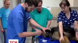 В Польше открылся специальный центр помощи, в котором собаки и кошки сдают кровь