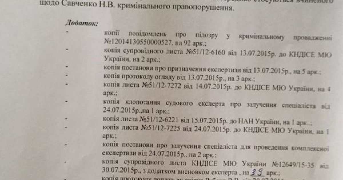 преследование Савченко_2 / © Марк Фейгин / Twitter
