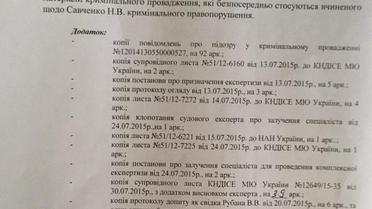 преследование Савченко_2 / © Марк Фейгин / Twitter