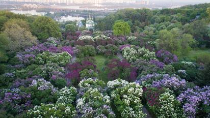 Синоптики рассказали, какой будет погода на Киевщине 24 апреля