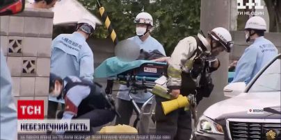 Новини світу: через що в Японії застрелили ведмедя