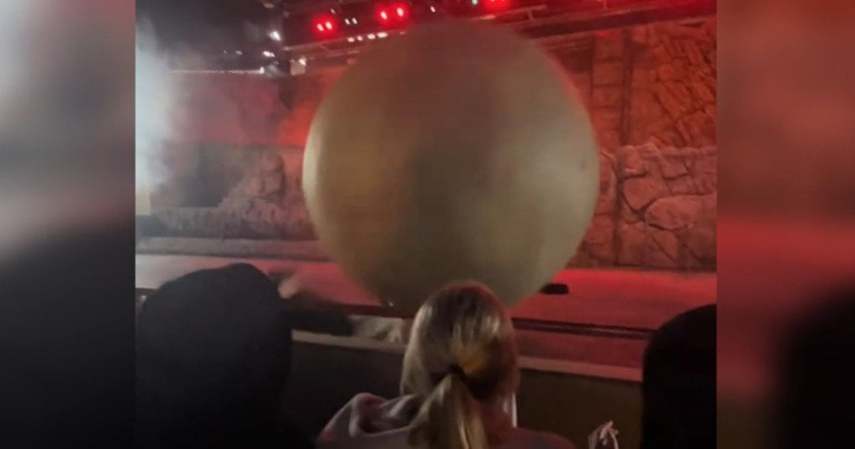 Працівник Діснею постраждав, зупинивши 180-кілограмовий штучний валун, який впав на глядачів