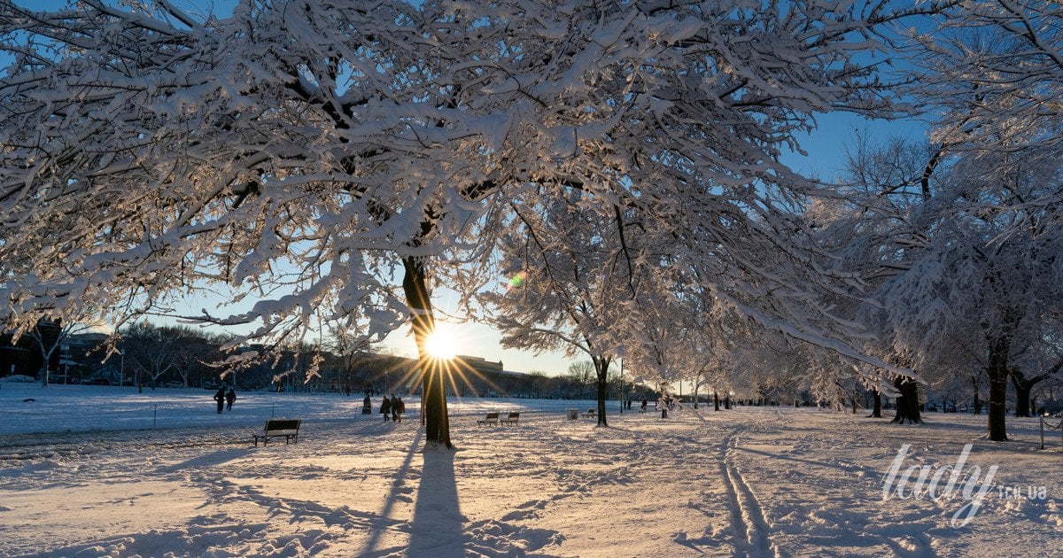 До України прийшла справжня зимова погода
