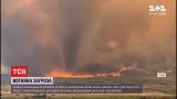 Огонь в Калифорнии уничтожил почти 6 тысяч гектаров леса