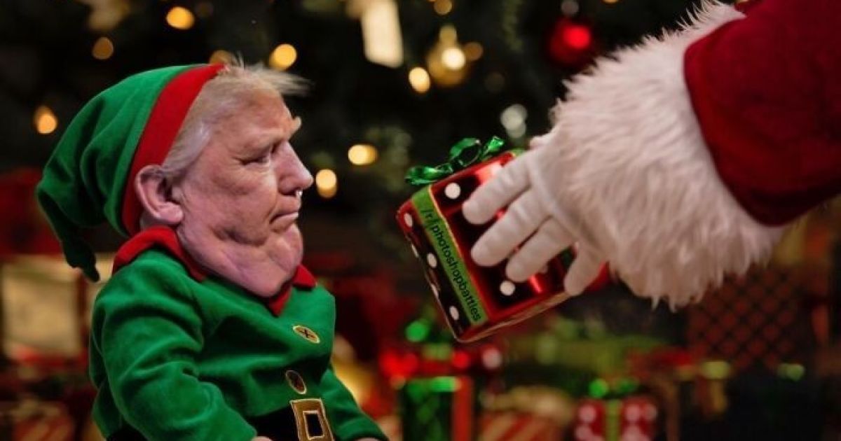 Фотожаби із невдалим портретом Трампа і воротар, який збив чайку під час матчу. Тренди Мережі