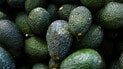 8 продуктов, в которых больше полезных жиров, чем в авокадо