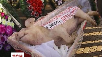 Тисячі аграріїв влаштували пікет з "перфомансом" під Радою