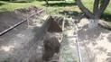 У Києво-Печерській Лаврі розкопали унікальні мури 12-го століття