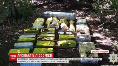 На Днепропетровщине в лесополосе нашли арсенал оружия и боеприпасов