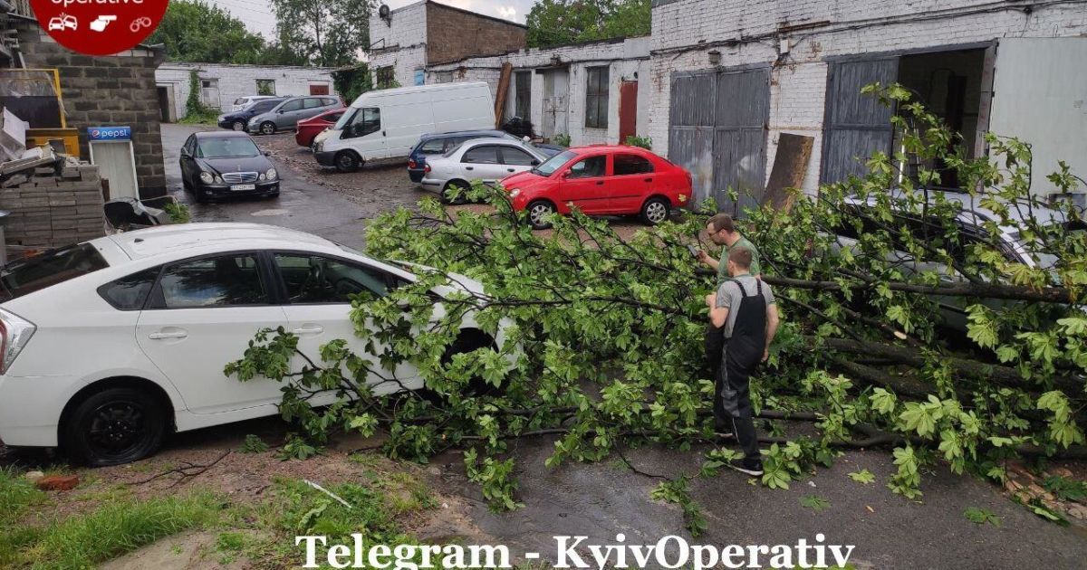 дерево