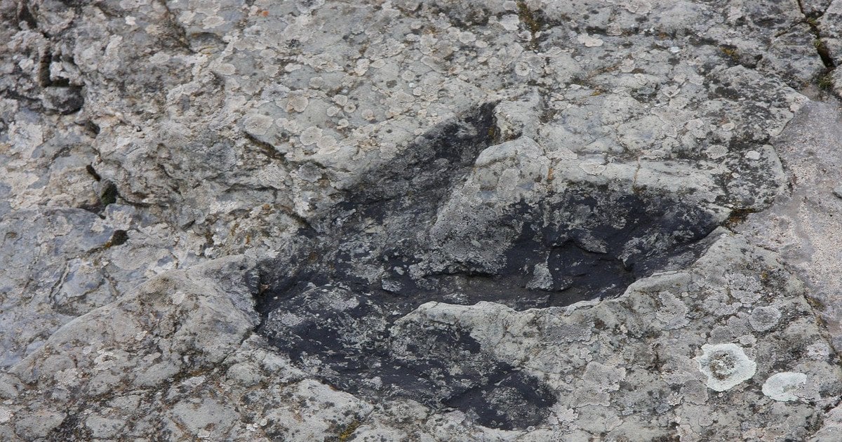 Сліди збереглися дуже добре