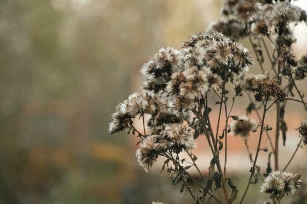 Народні прикмети 11 жовтня / © Unsplash