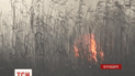 Дожди не в состоянии погасить украинские торфяники