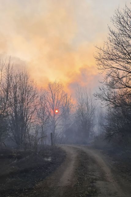 Украина охвачена огнем: как спасти страну от поджигателей травы и катастрофических изменений климата – WWF