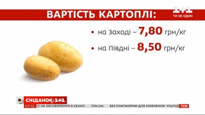 В Украине подорожала картошка — Экономические новости