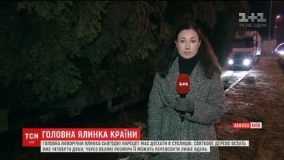 Столична ялинка затрималася в дорозі через затори