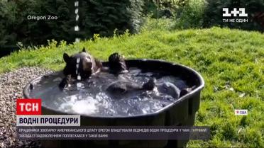 Новини світу: у зоопарку США ведмідь активно плескався у ванній