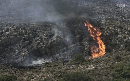 У Греції затримали ймовірних паліїв, через яких розгорнулись масштабні лісові пожежі