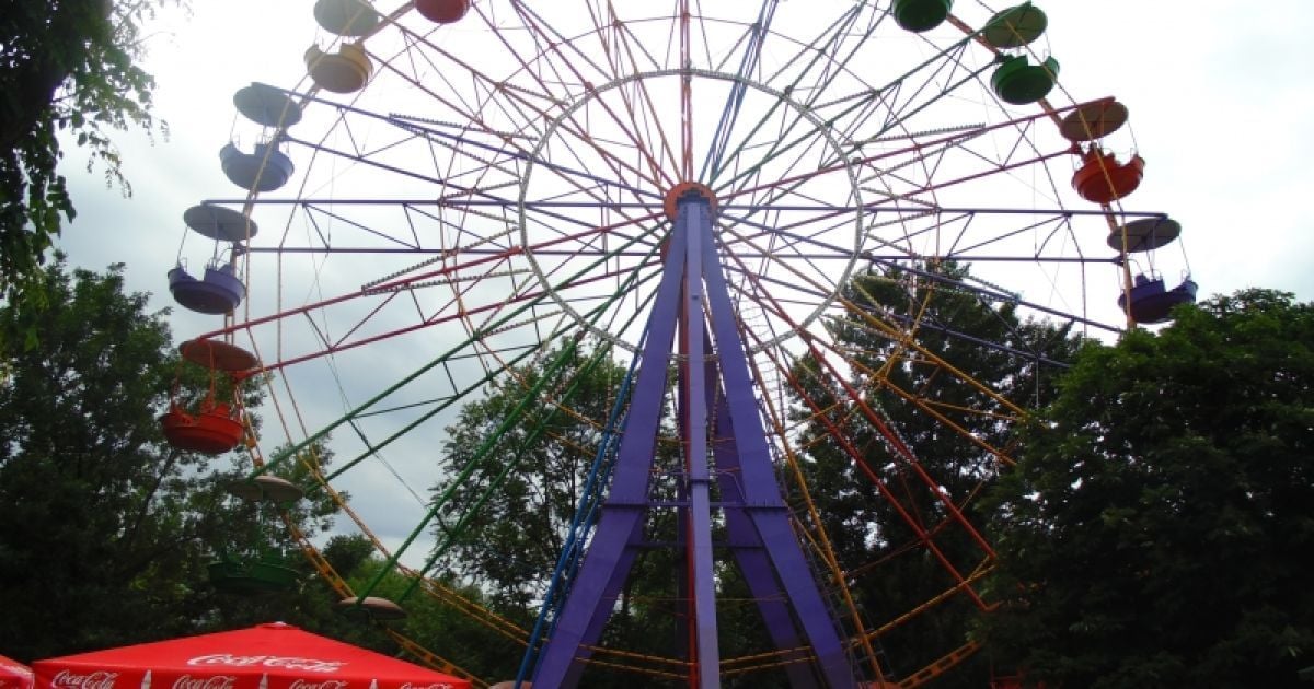 Колесо обзора в Дендропарке Кропивницкого/Фото dendropark