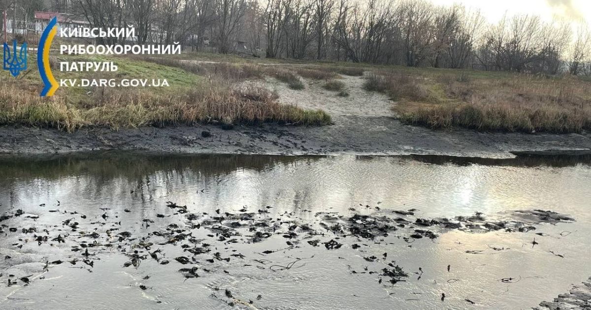 У Київській області стрімко обміліла притока Дніпра - річка Трубіж