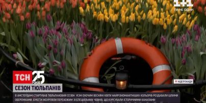 Новини світу: в Амстердамі усім охочим роздавали тюльпани