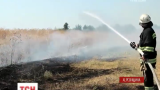 Масштабні пожежі нищать гектари рукотворного лісу на Херсонщині