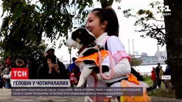 Новини світу: у Нью-Йорку відбувся фестиваль геловінських убрань для домашніх улюбленців