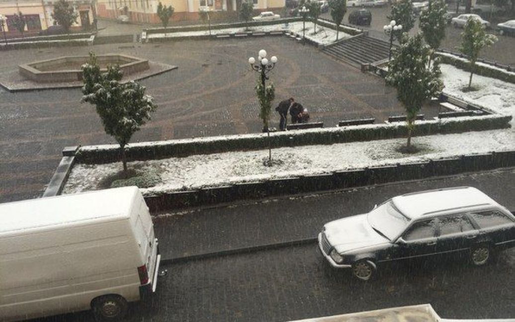 Первый снег в Черновцах. / © ВКонтакте/Черновцы, детка! Це Чернівці, крихітко!