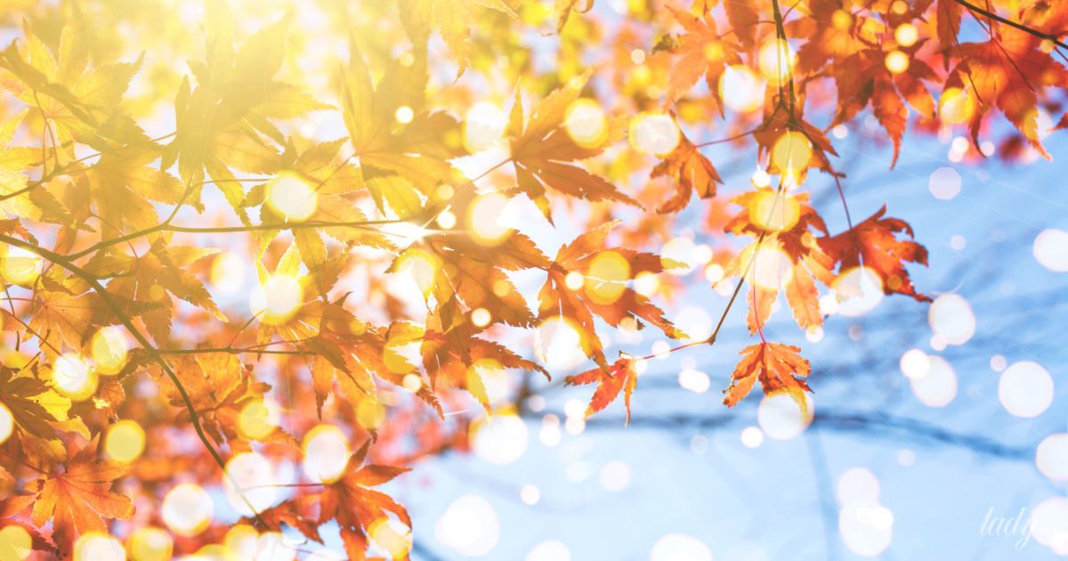 Гороскоп на 5 листопада для всіх знаків зодіаку