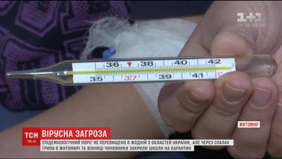 Украинские города закрывают школы на карантин из-за вспышки гриппа