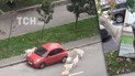 В Киеве козы скачут по автомобилям: кто виноват — хозяева или машины, припаркованные где получится