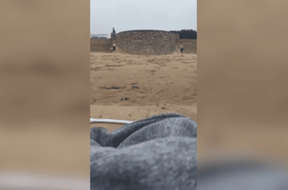 Скрин видео Reddit
