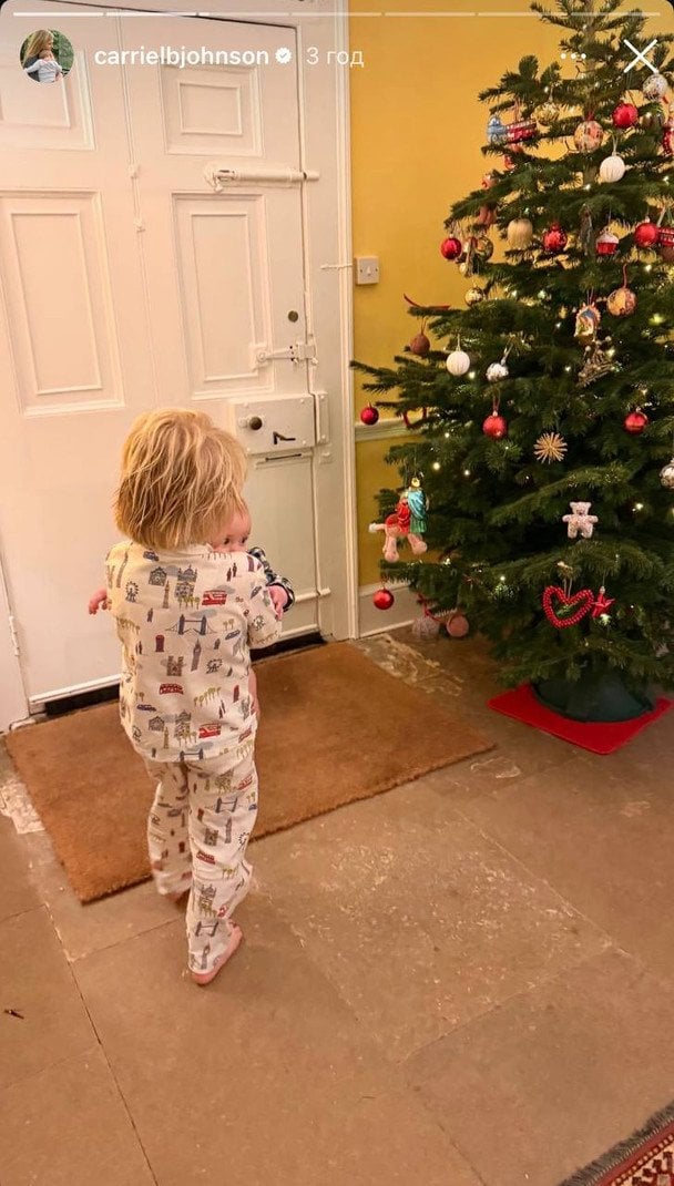 Дети Бориса и Кэрри Джонсон / © Instagram Кэрри Джонсон