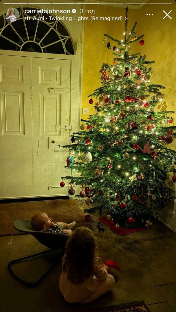 Дети Бориса и Кэрри Джонсон / © Instagram Кэрри Джонсон