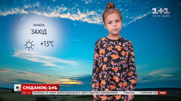Какая погода на выходных и как провести свободное время с пользой