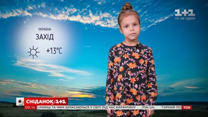 Какая погода на выходных и как провести свободное время с пользой