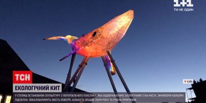 Новини України: у столиці встановили скульптуру кита, яка зображатиме екологічний стан міста