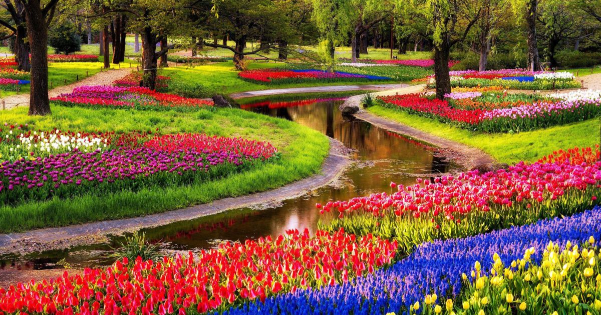Королевский "Сад Европы" с тысячами тюльпанов откроется недалеко от Амстердама