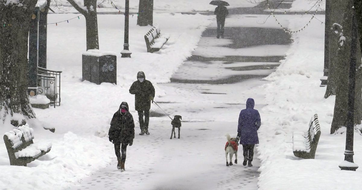 Львов пятый день засыпает снегом: как город борется с непогодой