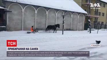 Новости Украины: во Львовской области коммунальщик удивил местных способом уборки снега