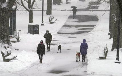 Львів п'ятий день засипає снігом: як місто бореться з негодою