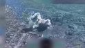 Оккупанты потеряли технику