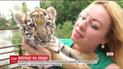 Двухмесячный тигренок Триша наконец-то вишел к посетителям Луцкого зоопарка