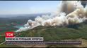 Новости мира: на популярных турецких курортах горят леса - более полсотни людей уже пострадали