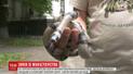 Возле Минобразования нашли змею, которая не водится в Украине