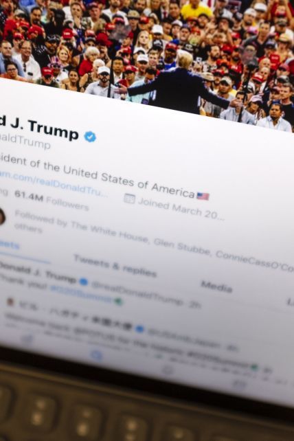 Борьба с другом: как Трамп поссорился со своим любимым Twitter