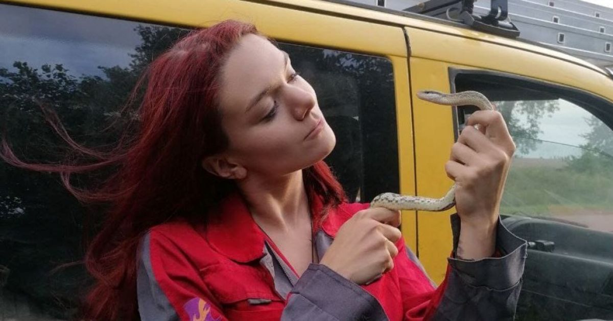 Жительница Киева обнаружила змею в квартире и вызвала специалистов Службы спасения животных / © Facebook / Команда спасения живтоных города Киева