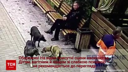 Жителей Хмельницкого возмутило жестокое отравление собак директором приюта