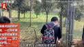 Посетитель зоопарка пытался самостоятельно достать мобильный из клетки тигра